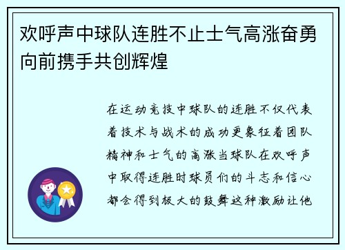 欢呼声中球队连胜不止士气高涨奋勇向前携手共创辉煌